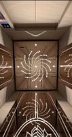 Ascenseur de villa moderne de style chinois haut de gamme avec traction AC sans engrenages, revêtement de sol en PVC et construction en acier inoxydable