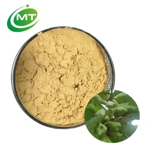 HACCP 천연 대량 가격 높은 순수 95% 탄산 Galla Chinensis 잎 추출물/Galla Chinensis Gall 추출물 분말