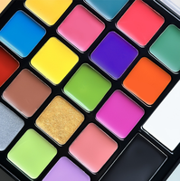 Kit de peinture corporelle et faciale à base d'eau, 18 couleurs, personnalisable, avec pochoirs et pinceaux, pour la Journée de la fierté, professionnel, non toxique, lavable