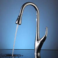 Robinet d'évier de cuisine en laiton de luxe pivotant 360 robinets avec vaporisateur rétractable argent 1 trou 1 poignée mélangeur de cuisine chaud et froid
