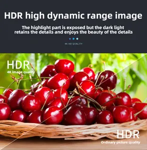 Sợi quang HDMI Cáp hỗ trợ 4K @ 60Hz YUV 4:4:4 cho HDTV HDR ARC 1m 3m, 5M 10m 15m 20m 30M 40m 50m 100m AOC Cáp