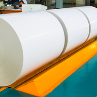 White Cardboard Paper Gc2 230gsm C1s Ivory Board Cardboard Paper Flat Cardboard Jumbo Roll