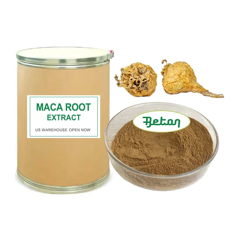 Reines hochwertiges 100 % natürliches Angebot organisches gelatiniertes Maca-Pulver