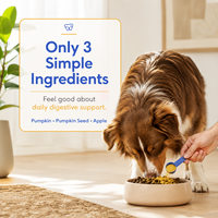 Poudre de citrouille à marque privée pour chiens, riche en fibres, pour la santé digestive et le soutien des selles, complément alimentaire pour animaux de compagnie, formule personnalisée OEM ODM