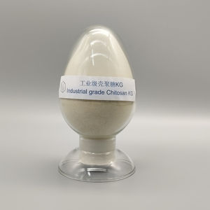 厂家直销热销工业级壳聚糖KG用于水处理 - Product Image 6