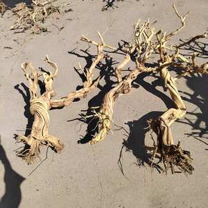 Grand support d'escalade en bois d'aquarium moderne en rotin naturel Rhododendron arbre chèvrefeuille arbre Overlord sacs pour - Product Image 5