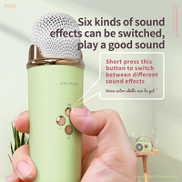 Haut-parleur Karaoké 1000 mAh avec Micro, Bluetooth, Radio FM Portable – Vente en Gros Usine