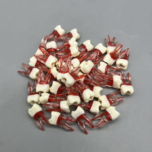 Modello dentale educativo: dente canalare a bande rosse con radici per la pratica studentesca in endodonzia e riempimento della cavità - Product Image 2