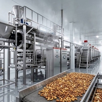 Machine de torréfaction automatique continue des cacahuètes avec convoyeur pour usine de transformation des noix et production de snacks