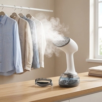 Fer à vapeur électrique portable moderne 220V Mini taille Style de voyage Prise américaine pour la maison, hôtel, vêtements en gros, défroisseurs à vapeur