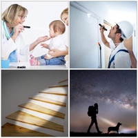 Mini lampe torche LED en aluminium à piles sèches, puissante, pour extérieur, format stylo, torche de poche EDC, lampe médicale
