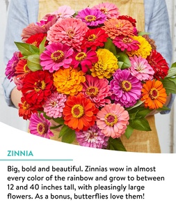 Mélange de coupe de truies de fleurs sauvages sans OGM 15 variétés de fleurs sauvages <span class=keywords><strong>vivaces</strong></span> pour pots de fleurs jardinières en vrac <span class=keywords><strong>avec</strong></span> fleurs artificielles - Product Image 2