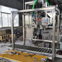 Machine de remplissage aseptique de sachets de sauce de 180 à 220 litres pour jus de fruits, pâte, eau de coco en fût et en sachets, remplisseur aseptique BIB