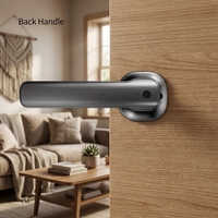 Serrure de porte intelligente pour la sécurité domestique, WiFi, application Tuya, entrée sans clé, biométrique, empreinte digitale, antivol, serrure de porte numérique