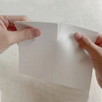Feuilles de blanchisserie écologiques OEM ODM professionnelles feuille de bandes de détergent à lessive de voyage Portable pour vêtements
