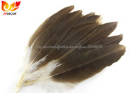 ZPDECOR Gros Naturel Aigle Vautour Condor Plumes pour Brésil Carnaval Costume