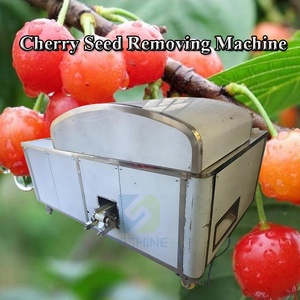 Machine commerciale automatique de dénoyautage de graines de cerise de bon prix Dissolvant industriel automatique de dénoyautage de <span class=keywords><strong>cerises</strong></span> <span class=keywords><strong>à</strong></span> vendre - Product Image 5