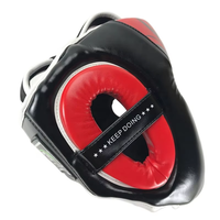 Casque de protection de la tête en gros BN, logo personnalisé, casque rétro MMA pour la boxe, l'entraînement au taekwondo
