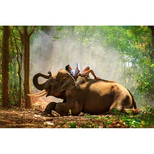 New Fashion Photography Home Decor Animal Elephant Painting Natural Wall Picture Wall Art Crystal Porcelain Painting