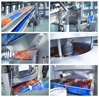 Food-Grade Continue Ontwateringsmachine Voor Vers Gesneden Fruit En Groenten, Continue Groente-Spindroger