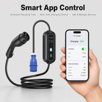 Chargeur EV portable 32A 7KW, chargeur de voiture électrique portable, version domestique, chargeur de véhicule à énergie nouvelle portable, indice de protection IP55, OEM ODM