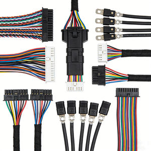 مصنع مخصص لتجميع الأسلاك الكهربائية والكابلات لضفائر الأسلاك الخفيفة مع ريلاي وضفائر الأسلاك الداخلية - Product Image 1