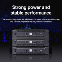 VIRE 1000W * 2 yüksek güç profesyonel HiFi ses amplifikatörler dijital ev sineması Karaoke stüdyo sahne Metal profesyonel sahne