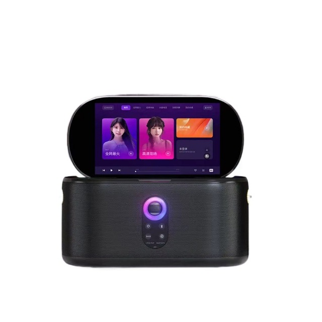 10 Inch All in One KTV System with Screen Built in Rechargeable Battery for Home Party Outdoor Karaoke