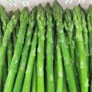 नई फसल Asparagus रूट IQF जमे हुए शतावरी