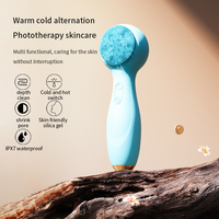Brosse nettoyante électrique en silicone OEM LED pour le visage, exfoliante, à massage chaud et froid, pour usage domestique