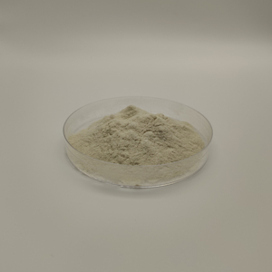 Nhà máy trực tiếp cao cấp Chitosan kg cho ngành công nghiệp - Product Image 6