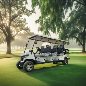 8 posti elettrico Golf Cart Buggy prezzo a buon mercato strada legale con Curtis AC Controller 60V motore Driver per la caccia Golf - Product Image 4