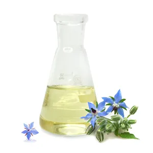 Di alta qualità 100% puro olio di semi di borragine naturale olio di fragranza per Aroma diffusore