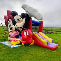 Château gonflable Mickey & Minnie Mouse pour enfants, aire de jeux extérieure sur le thème des dessins animés