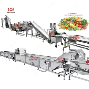 High Quality Vegetable Fruit Processing Line Frozen Vegetable Green Peas Sweet Corn Production Line