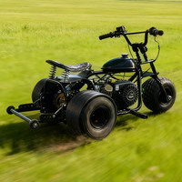 Triciclo de derrape a gas para adultos, kart todoterreno de 3 ruedas, vehículo mini de carreras para todo tipo de terrenos y la