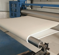 Bande transporteuse en feutre Nomex poli - Écologique, non tissée, pour usage industriel, en forme d'anneau sans couture