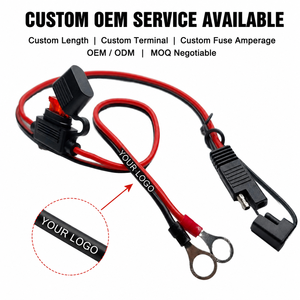 Câble de rallonge de batterie automobile 2 broches 14AWG SAE avec borne O-Ring, faisceau de câblage, fusible 10A 20A, conducteur en cuivre pur PVC 600MM - Product Image 4
