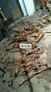 Commercio all'ingrosso di colore giallo di qualità habitat acquatici radice di canapa vite di corallo in legno di sesso opposto lavello in legno - Product Image 6