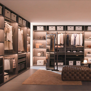 Garde-robe de style européen moderne avec lumière LED intégrée, quincaillerie de marque supérieure, porte en verre - Product Image 5
