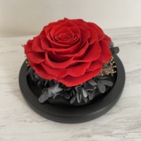2022 Ins Hot Valentine Groothandel Luxe Gift Bewaard Een Rose Heart Glass Dome Voor Gift