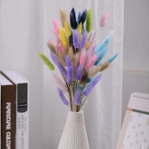 Hierba de Cola de Conejo, Flores Secas y Preservadas, Decoración Floral Nórdica para el Hogar, Arreglos Florales Hechos a Mano, Materiales Florales para el Día de la Madre - Product Image 4