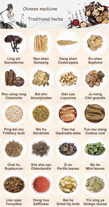 100% tự nhiên số lượng lớn khô Ashwagandha gốc nguyên Ấn Độ Nhân Sâm Thảo dược với giá tốt nhất - Product Image 6