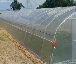 ゴシックポリトンネルトマト温室農業ガーデン用シングルスパンPEフィルム水耕栽培