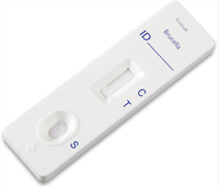 Prueba Rápida de Brucella de Alta Precisión en Oferta, Kit de Prueba Rápida de Anticuerpos de Brucella Canina para Veterinaria