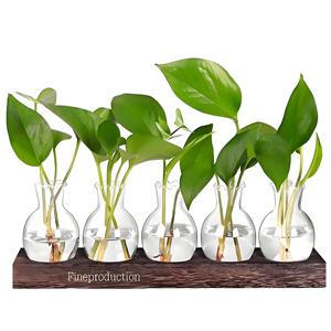 Support en bois art déco pour plantes hydroponiques Station de propagation des plantes <span class=keywords><strong>Vase</strong></span> en verre pour décoration de bureau à domicile Cadeau pour plantes d'intérieur - Product Image 6