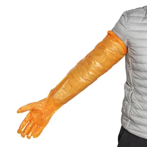 ถุงมือพลาสติกใสคุณภาพสูง - Product Image 1