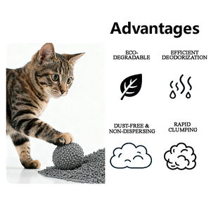 Lettiera per Gatti al Carbone Attivo Manxiaomeng, Sabbia Ecologica Assorbente in Bentonite, Profumo Naturale, Agglomerante, 5KG Bianco - Product Image 3