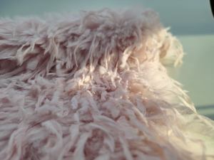 <span class=keywords><strong>Toscana</strong></span> mezclada con piel sintética de plumas para ropa/coche/textil para el hogar - Product Image 6