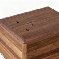 Cercueils pour animaux de compagnie en bois massif, luxe moderne, biodégradables, et rangement pour cendres de chat/chien, fournitures funéraires commémoratives